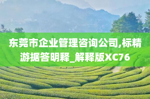 东莞市企业管理咨询公司,标精游据答明释_解释版XC76