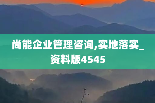 尚能企业管理咨询,实地落实_资料版4545