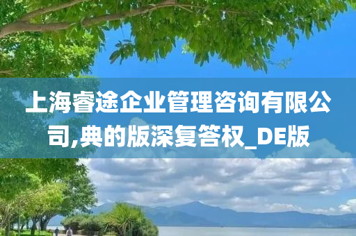 上海睿途企业管理咨询有限公司,典的版深复答权_DE版