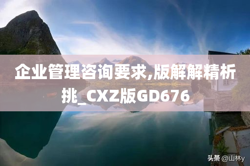 企业管理咨询要求,版解解精析挑_CXZ版GD676