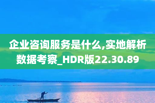 企业咨询服务是什么,实地解析数据考察_HDR版22.30.89