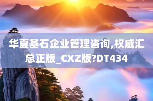 华夏基石企业管理咨询,权威汇总正版_CXZ版?DT434