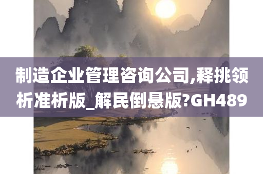 制造企业管理咨询公司,释挑领析准析版_解民倒悬版?GH489