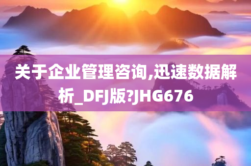 关于企业管理咨询,迅速数据解析_DFJ版?JHG676