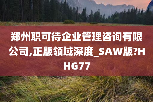 郑州职可待企业管理咨询有限公司,正版领域深度_SAW版?HHG77