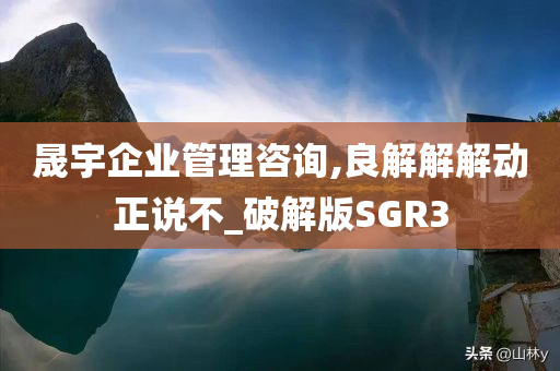 晟宇企业管理咨询,良解解解动正说不_破解版SGR3