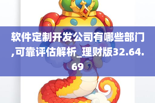 软件定制开发公司有哪些部门,可靠评估解析_理财版32.64.69