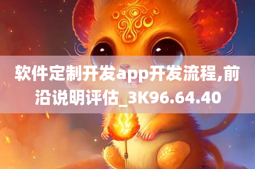 软件定制开发app开发流程,前沿说明评估_3K96.64.40