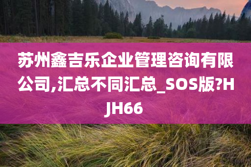 苏州鑫吉乐企业管理咨询有限公司,汇总不同汇总_SOS版?HJH66