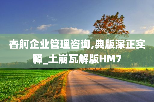 睿舸企业管理咨询,典版深正实释_土崩瓦解版HM7