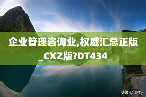 企业管理咨询业,权威汇总正版_CXZ版?DT434