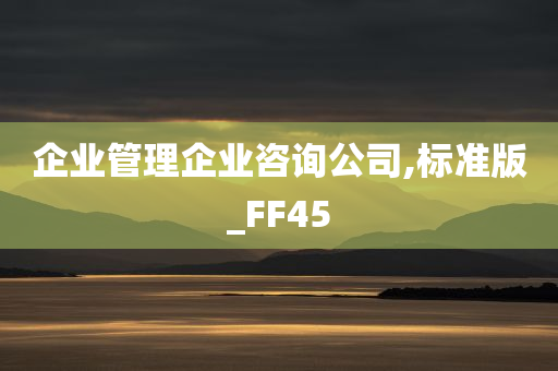 企业管理企业咨询公司,标准版_FF45