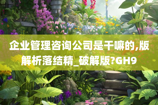 企业管理咨询公司是干嘛的,版解析落结精_破解版?GH9