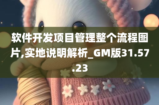 软件开发项目管理整个流程图片,实地说明解析_GM版31.57.23