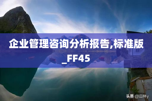 企业管理咨询分析报告,标准版_FF45