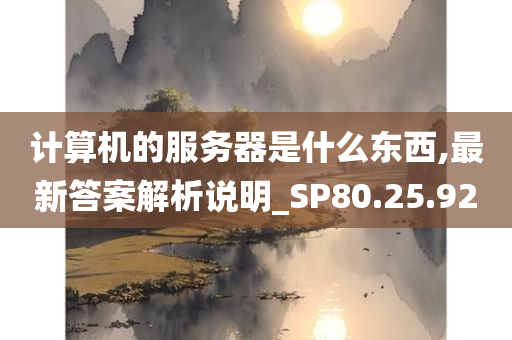 计算机的服务器是什么东西,最新答案解析说明_SP80.25.92