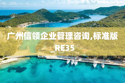 广州信领企业管理咨询,标准版_RE35