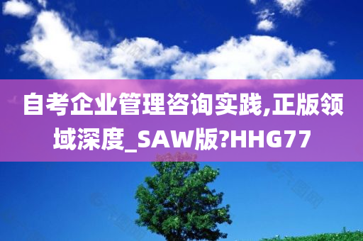 自考企业管理咨询实践,正版领域深度_SAW版?HHG77