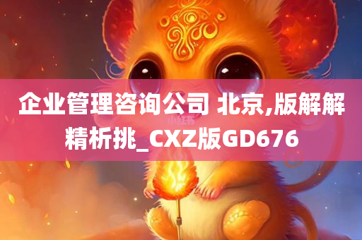 企业管理咨询公司 北京,版解解精析挑_CXZ版GD676