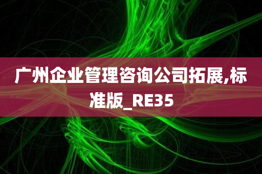 广州企业管理咨询公司拓展,标准版_RE35