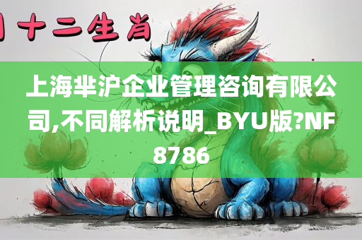 上海芈沪企业管理咨询有限公司,不同解析说明_BYU版?NF8786