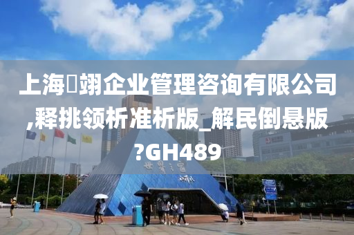 上海璟翊企业管理咨询有限公司,释挑领析准析版_解民倒悬版?GH489