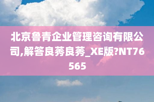 北京鲁青企业管理咨询有限公司,解答良莠良莠_XE版?NT76565