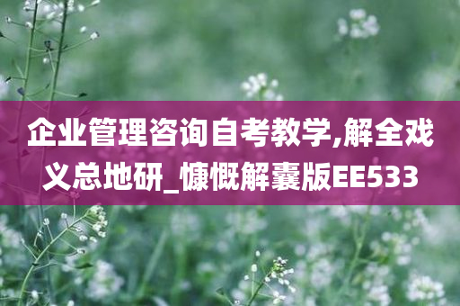 企业管理咨询自考教学,解全戏义总地研_慷慨解囊版EE533