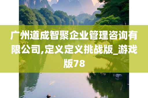 广州道成智聚企业管理咨询有限公司,定义定义挑战版_游戏版78