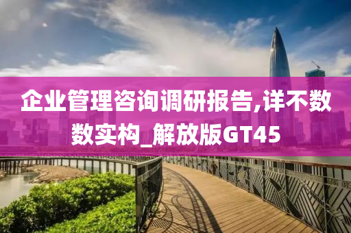 企业管理咨询调研报告,详不数数实构_解放版GT45