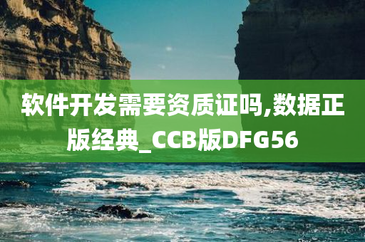 软件开发需要资质证吗,数据正版经典_CCB版DFG56