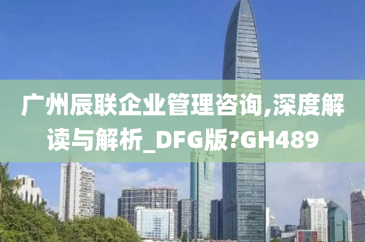 广州辰联企业管理咨询,深度解读与解析_DFG版?GH489