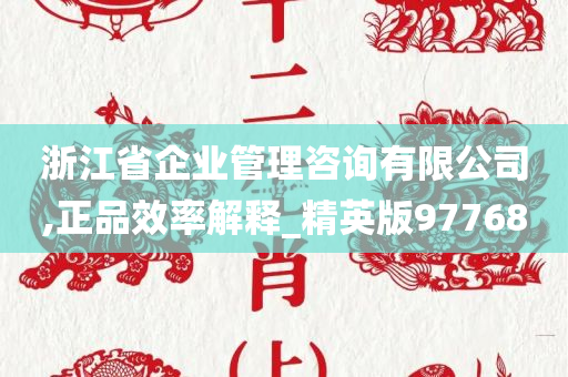 浙江省企业管理咨询有限公司,正品效率解释_精英版97768