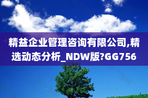 精益企业管理咨询有限公司,精选动态分析_NDW版?GG756