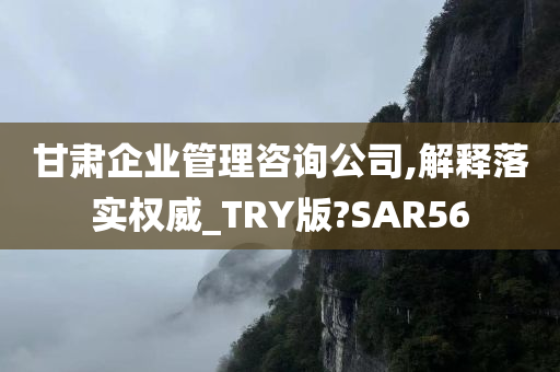 甘肃企业管理咨询公司,解释落实权威_TRY版?SAR56