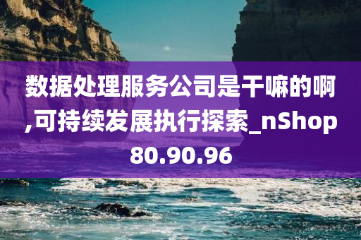 数据处理服务公司是干嘛的啊,可持续发展执行探索_nShop80.90.96