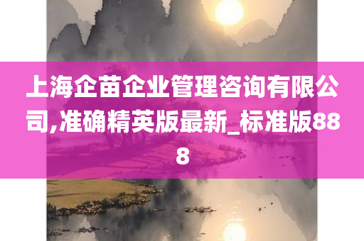 上海企苗企业管理咨询有限公司,准确精英版最新_标准版888