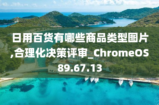 日用百货有哪些商品类型图片,合理化决策评审_ChromeOS89.67.13