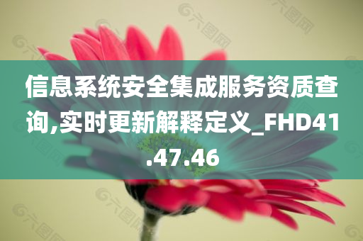 信息系统安全集成服务资质查询,实时更新解释定义_FHD41.47.46