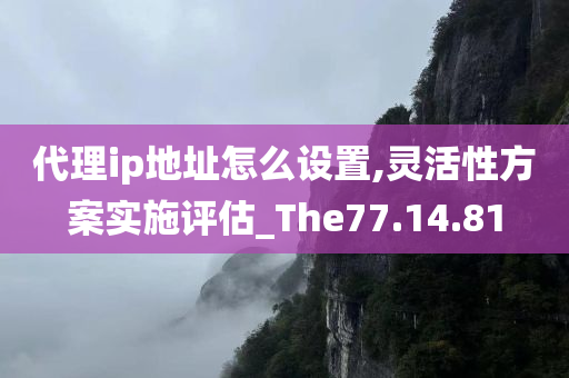 代理ip地址怎么设置,灵活性方案实施评估_The77.14.81