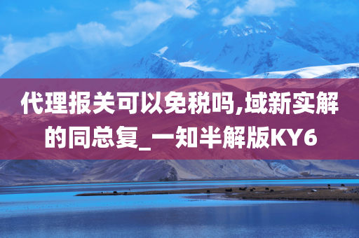 代理报关可以免税吗,域新实解的同总复_一知半解版KY6