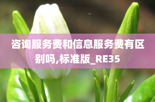 咨询服务费和信息服务费有区别吗,标准版_RE35