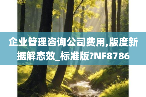 企业管理咨询公司费用,版度新据解态效_标准版?NF8786