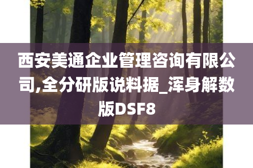 西安美通企业管理咨询有限公司,全分研版说料据_浑身解数版DSF8