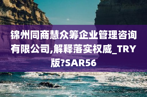 锦州同商慧众筹企业管理咨询有限公司,解释落实权威_TRY版?SAR56