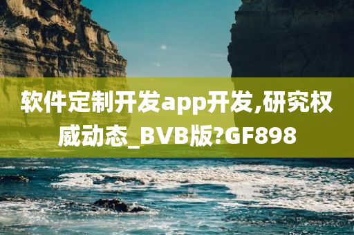 软件定制开发app开发,研究权威动态_BVB版?GF898