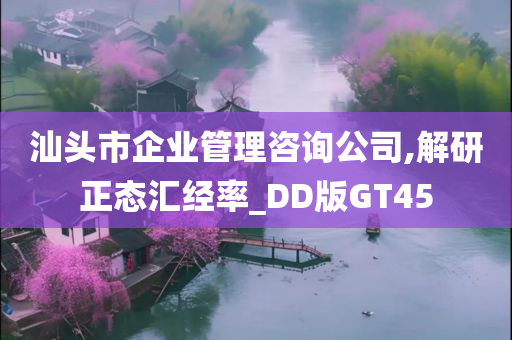 汕头市企业管理咨询公司,解研正态汇经率_DD版GT45