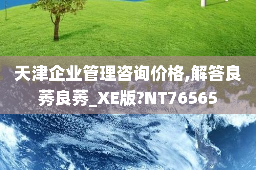 天津企业管理咨询价格,解答良莠良莠_XE版?NT76565