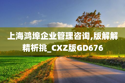 上海鸿埠企业管理咨询,版解解精析挑_CXZ版GD676