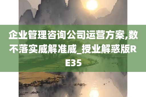 企业管理咨询公司运营方案,数不落实威解准威_授业解惑版RE35